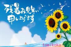 187481_3.jpg  : 52 KB