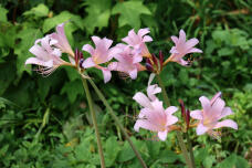 187580_2.jpg  : 81 KB
