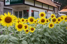 187634_2.jpg  : 115 KB