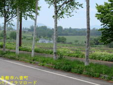 187714_3.jpg  : 72 KB