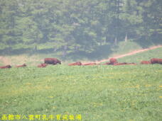 187728_2.jpg  : 58 KB