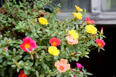187757_1.jpg  : 96 KB