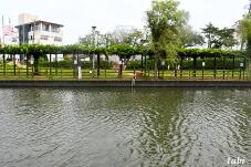 187828_8.jpg  : 122 KB