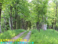 188030_3.jpg  : 107 KB