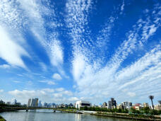 188190_1.jpg  : 454 KB