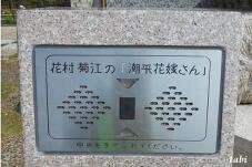 188263_8.jpg  : 72 KB