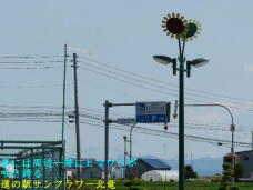 188295_1.jpg  : 42 KB