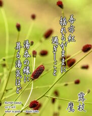 188309_1.jpg  : 191 KB