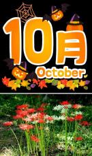 188335_1.jpg  : 185 KB