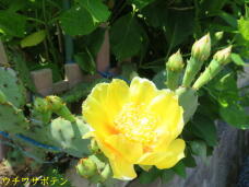 188498_1.jpg  : 49 KB