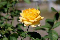 188578_3.jpg  : 47 KB